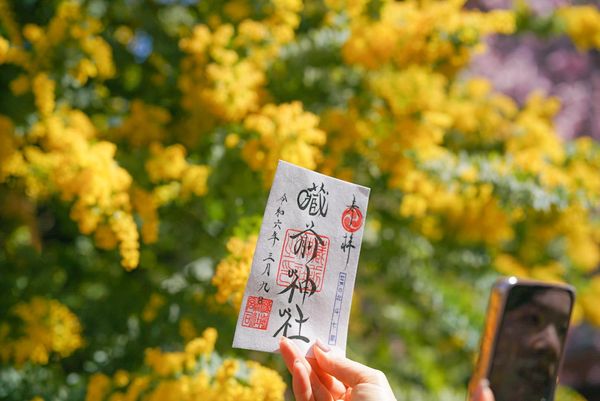 ▲▼東京藏前神社櫻花，東京櫻花，東京賞櫻。（圖／妮可魯的飛行日記臉書專頁授權提供，請勿翻攝）