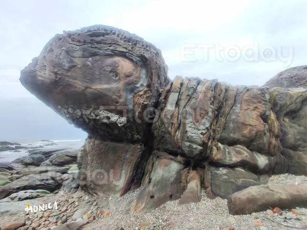 ▲基隆外木山一帶，被網友發現一座神似「海龜」的岩石。（圖／網友Monica Hsu提供，請勿隨意翻拍，以免侵權）