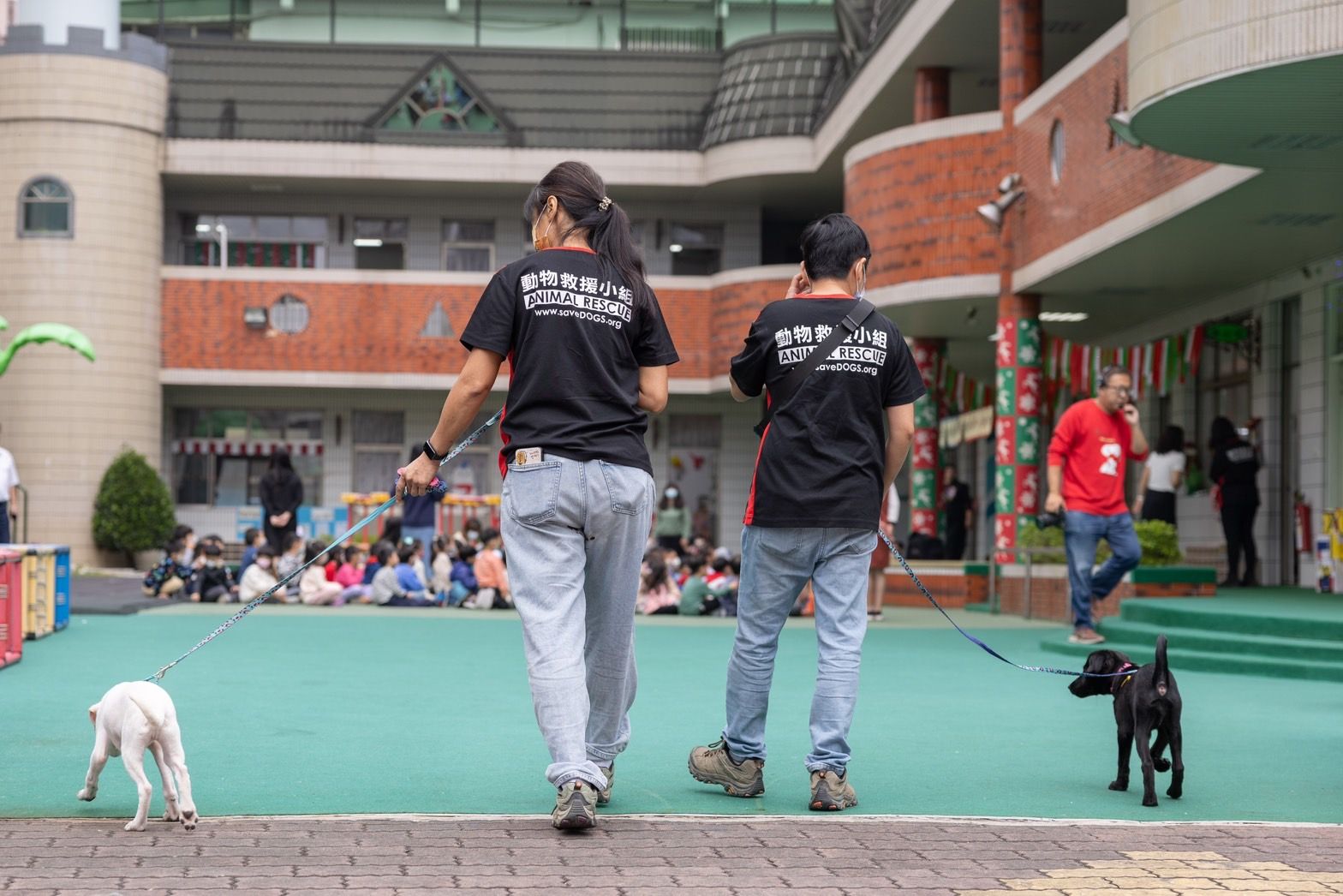 ▲生命教育高清圖。 （圖／台灣動物緊急救援小組提供）