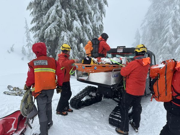 ▲▼加拿大有2名男女在徒步時意外遭遇雪崩。（圖／翻攝自Facebook）