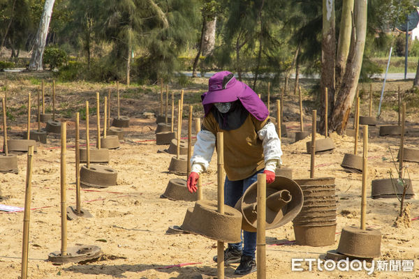 ▲▼金門植樹節植樹600株的苗木，引進「水寶盆」 打造新綠帶。（圖／記者林名揚翻攝）