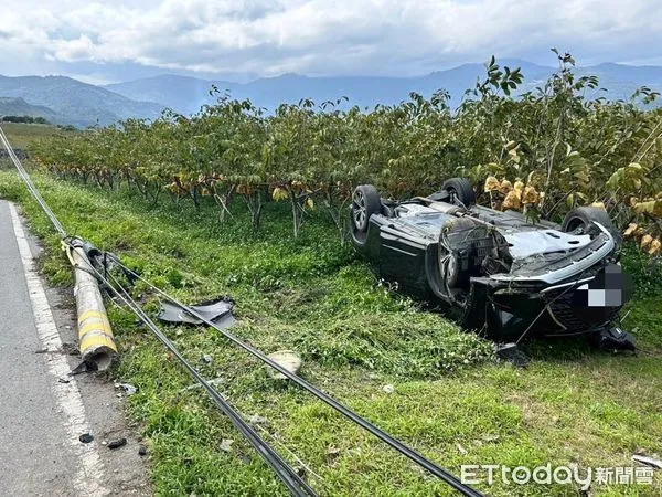 ▲自小客自撞電線杆翻落釋迦園。（圖／記者楊漢聲翻攝）