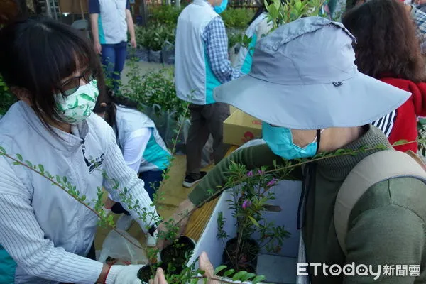 ▲小實女真（左）及烏來杜鵑（右）為贈苗當天第一及第二搶手的樹種。（圖／林業保育署南投分署提供）