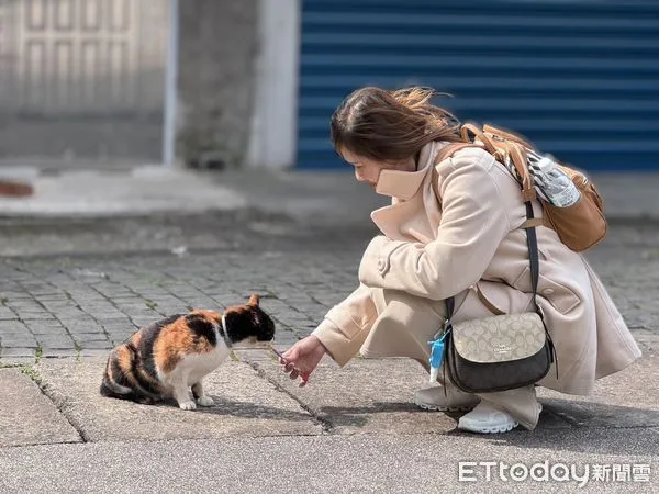 ▲▼猴硐車站,猴硐貓村,猴硐貓街。（圖／記者許宥孺攝）