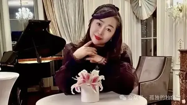 ▲▼紐約華人社區「詩情畫意」藝術學校校長曾志穎遭控化名曾雅琳，對大約48名受害人詐取600萬美元（約新台幣1.89億元）。（圖／翻攝自微博）