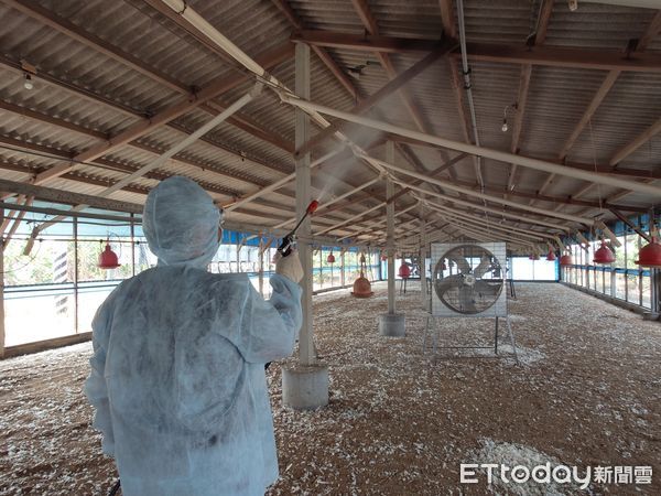 ▲台南市動保處接獲佳里區畜主通報場內紅羽土雞有異常死亡，採樣送農業部獸醫研究所檢驗，經確診為H5N1亞型高病原性禽流感，動保處15日完成撲殺，並進行消毒。（圖／記者林東良翻攝，下同）