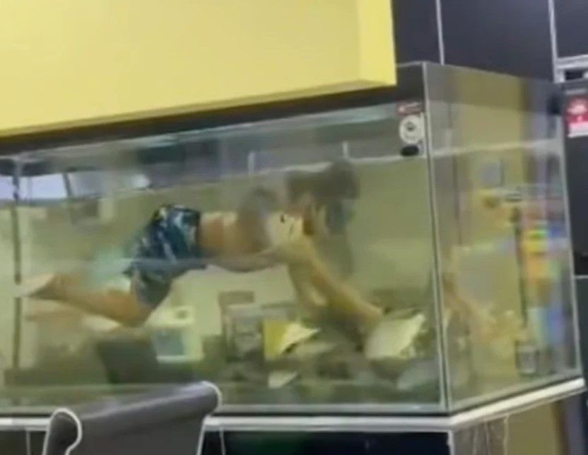 ▲▼馬來西亞一名小男孩跳進家中魚缸「解暑」，引發網友熱議。（圖／翻攝自TikTok）
