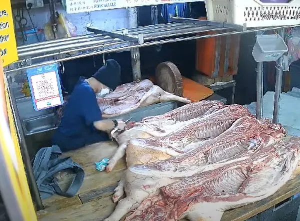 ▲▼馬來西亞一名女賊趁夜潛入菜市場偷豬肉。（圖／翻攝自YouTube）