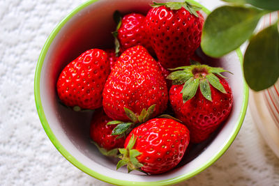 美8歲男童吃草莓「隔天竟身亡」！　當局急呼籲：請勿食用