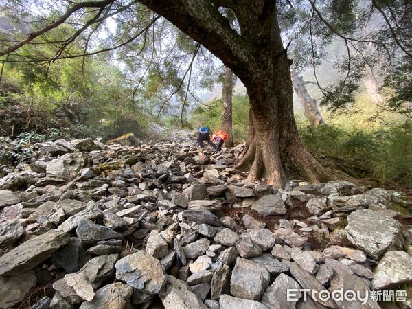 ▲▼玉山前峰三角點附近，一名登山客不慎跌落邊坡無生命跡象             。（圖／記者翁伊森翻攝）