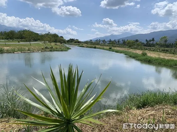 ▲玉水圳人工溼地占地4.95公頃，主要目的是為降低秀姑巒溪污染進行水質淨化。（圖／記者王兆麟翻攝，下同）