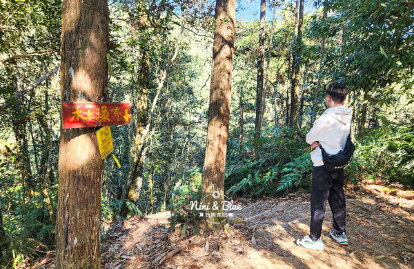 ▲▼澀水森林步道 闖入侏儸紀公園的森林步道。（圖／部落客NINI AND BLUE提供）