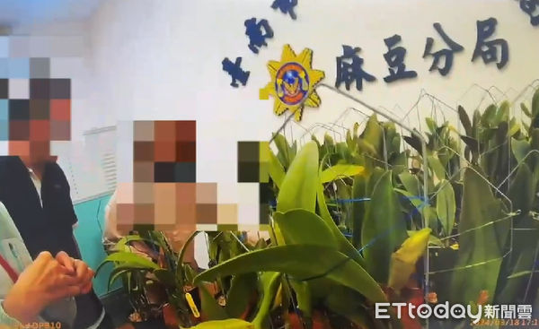 ▲台南市警麻豆分局破獲百萬元蘭花竊案，遠赴宜蘭將李、林2名犯嫌逮獲，並將失竊蘭花全數追回。（圖／記者林東良翻攝，下同）