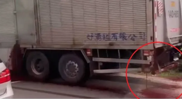 ▲▼             。（圖／）