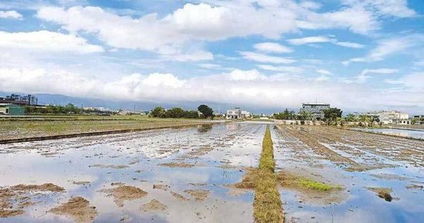 新竹市稅務局表示，課徵田賦的土地不能有農業以外的其他用途。（示意圖／報系資料照）