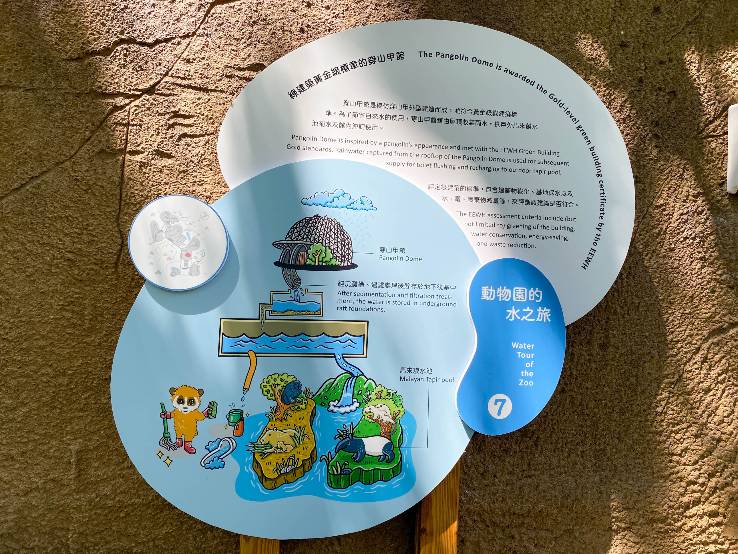▲棲地破碎化+環境汙染「台北赤蛙數量減少」　322水資源日一起守護牠們（圖／台北市立動物園提供，請勿隨意翻拍，以免侵權。）