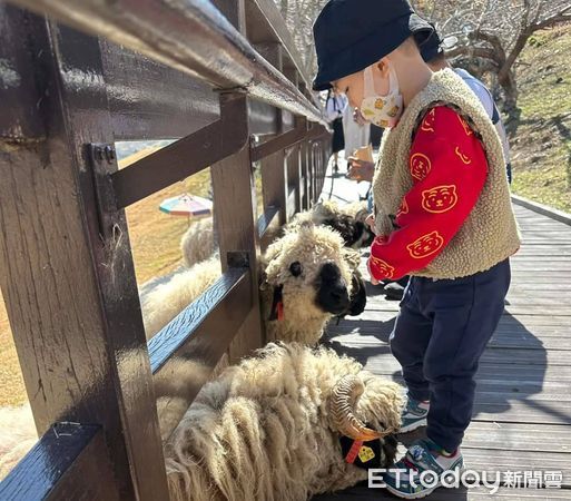 ▲臺中榮總及清境農場將首度於兒童節共同辦理廉政嘉年華會活動。（圖／清境農場提供，下同）