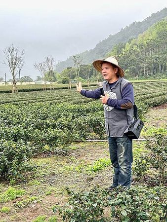 ▲▼宜蘭一日製茶師！採茶、殺菁、揉捻全部自己來，晚上再享用以茶入菜的精選法式晚餐。（圖／泰國劉德華的美食案內帖提供）