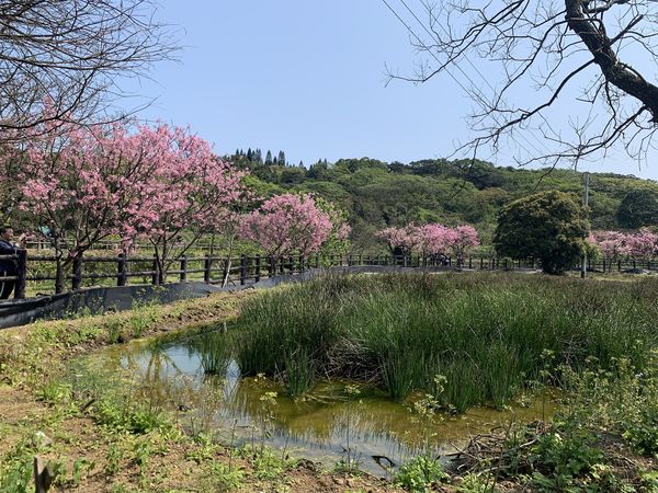 ▲麟山鼻生態步道,三生步道,後厝漁港內的彩繪漁具倉庫。（圖／新北市政府漁業處提供）