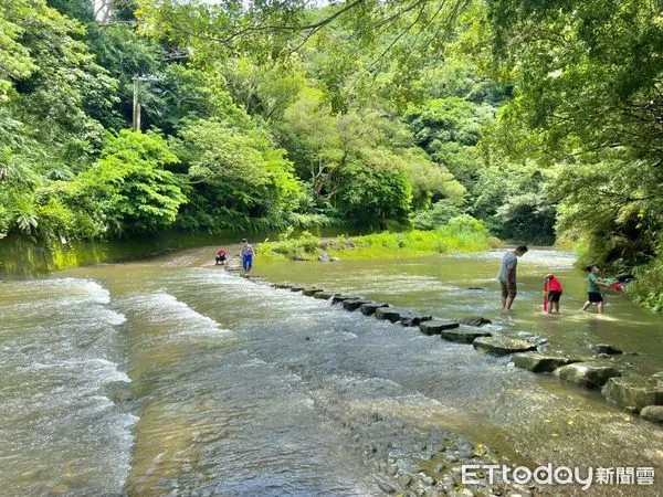 ▲兒童及清明連假期間，12歲以下可免費遊國家森林遊樂區。（圖／林業保育署提供）
