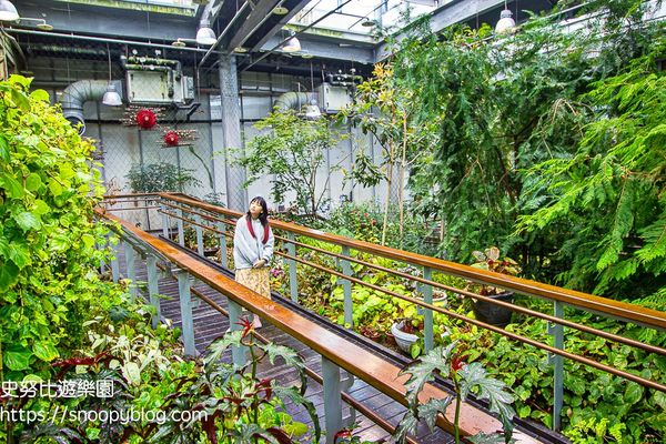 ▲▼臺北典藏植物園，鑽石級綠建築溫室森林，典藏超過500種花卉植物，台北免門票室內景點。（圖／史努比提供）