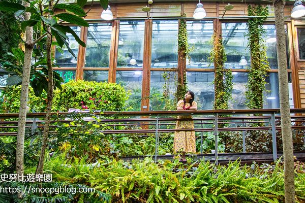 ▲▼臺北典藏植物園，鑽石級綠建築溫室森林，典藏超過500種花卉植物，台北免門票室內景點。（圖／史努比提供）