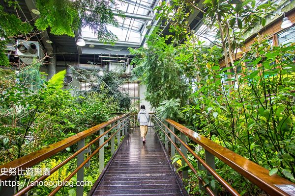 ▲▼臺北典藏植物園，鑽石級綠建築溫室森林，典藏超過500種花卉植物，台北免門票室內景點。（圖／史努比提供）