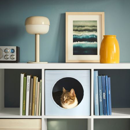 ▲IKEA最新UTSÅDD寵物家居系列。（圖／翻攝IKEA官網）