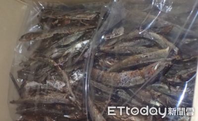 「日本秋刀魚乾」一級致癌物超標近40倍！食藥署邊境攔截50公斤