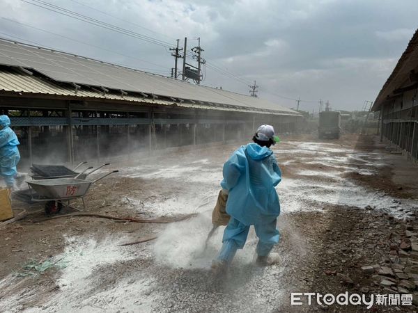 ▲雲林褒忠鄉1土雞場確診H5N1亞型高病原性禽流感，防疫所依標準作業程序，執行撲殺並督導業者完成場區清潔及消毒作業。（圖／記者蔡佩旻翻攝）