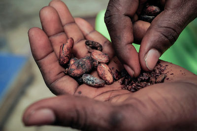 巧克力售價恐漲！可可豆產量短缺　期貨價「每噸破1萬美元」