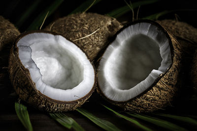 米酵菌酸曾在印尼毒死1萬人　致命「椰子發酵餅」1962年禁產
