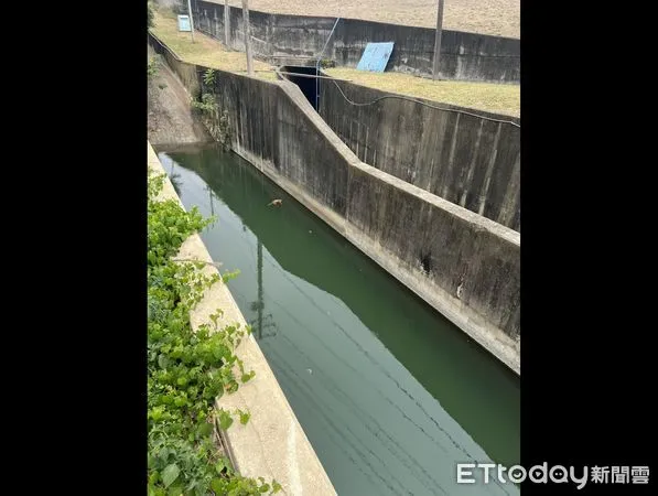 ▲▼嘉義市蘭潭風景區昨天發生溺斃意外。（圖／民眾提供）