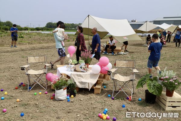 ▲▼  水上青委創辦「2024仙草春泥派對」 花旗木下歡樂登場    。（圖／記者翁伊森翻攝）