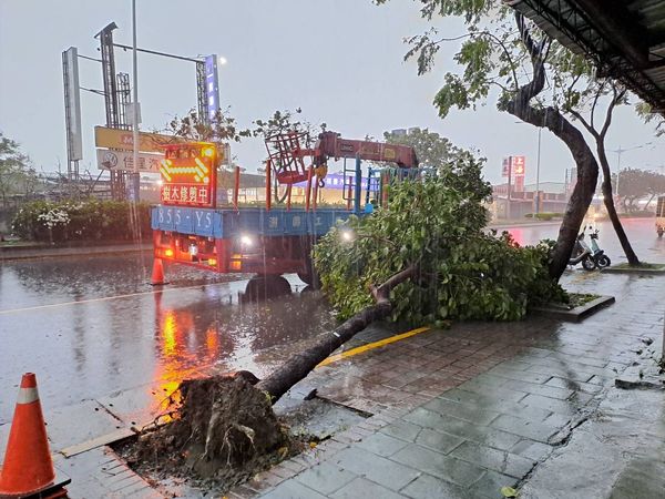 ▲▼北北基桃大雷雨，樹倒。（圖／台北市政府、中央氣象署）