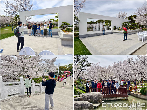 ▼參加活動的台胞們在賞花之旅中增進友情與親情。（圖／記者趙禕攝）