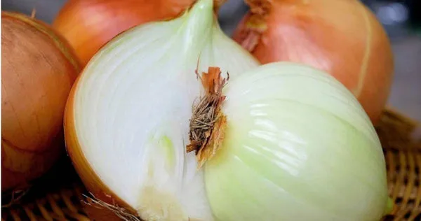 農業部分享7個關於洋蔥的小知識。（示意圖／pixabay）