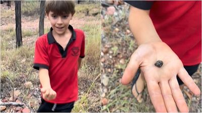 家門口玩泥巴「撿到藍寶石」！澳7歲男童眼光超神　秒賺20多萬
