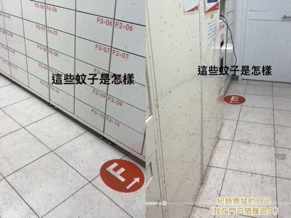 ▲▼大樹區九大路蝦皮店到店成了蚊子館。（圖／翻攝自TikTok）