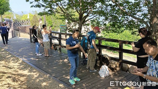 ▲埔里往清境道路狀況正常，清境農場今整天都正常營運。（圖／清境農場提供，下同）