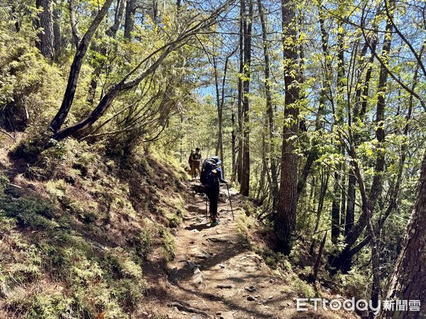 ▲玉山,登山,登玉山主峰,高山健行,玉山國家公園。（圖／記者彭懷玉攝）