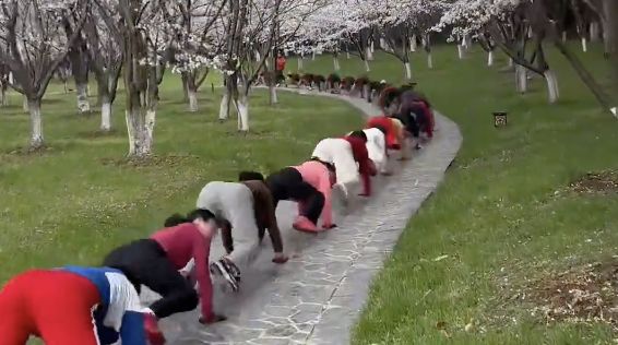 ▲蘇州一處公園內出現的「爬行鍛鍊大軍」。（圖／翻攝微博）