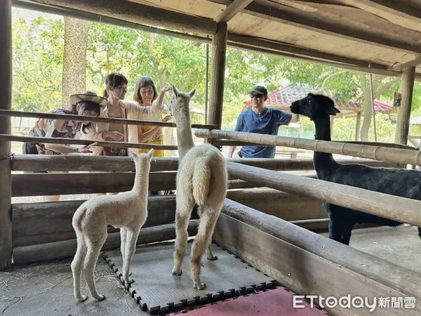 ▲台南學甲的頑皮世界野生動物園，兒童節連假期間舉辦動物花車大遊行，只見表演者化身成園內六大明星物種與遊客一同歡慶。（圖／記者林東良翻攝，下同）