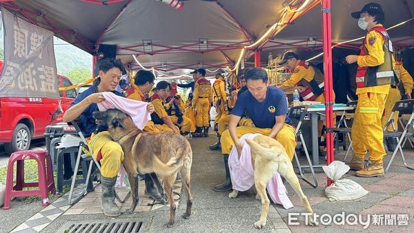 ▲搜救犬艱辛挺進砂卡檔！在近60度斜坡「找尋生還者」　穿梭畫面曝（圖／高雄市消防局提供，請勿隨意翻拍，以免侵權。）