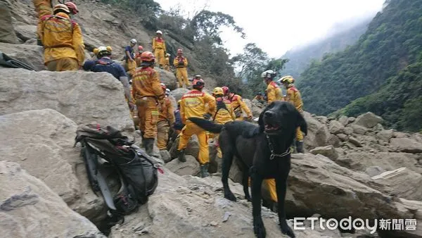 ▲▼花蓮地震，搜救犬Roger黑色拉布拉多於砂卡礑步道尋獲罹難者遺體。（圖／記者黃彥傑翻攝）