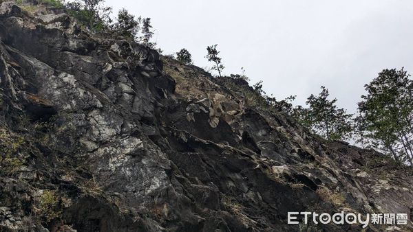 ▲▼             。（圖／記者李陳信得攝）