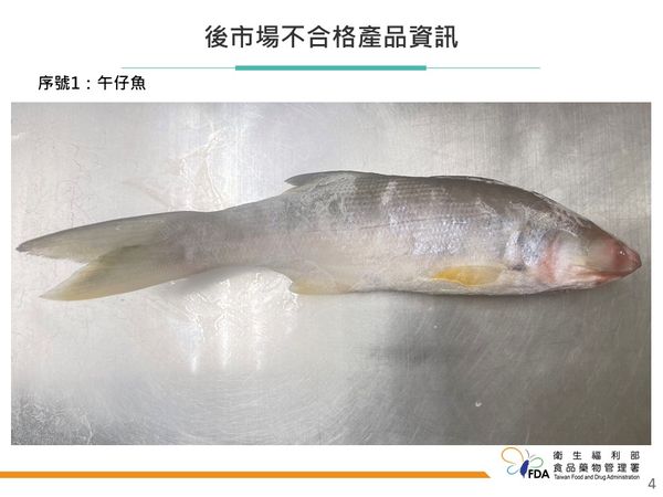 午仔魚檢出還原型孔雀綠。（圖／食藥署提供）