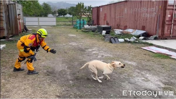 ▲▼台中消防搜救犬訓練。（圖／記者許權毅翻攝）