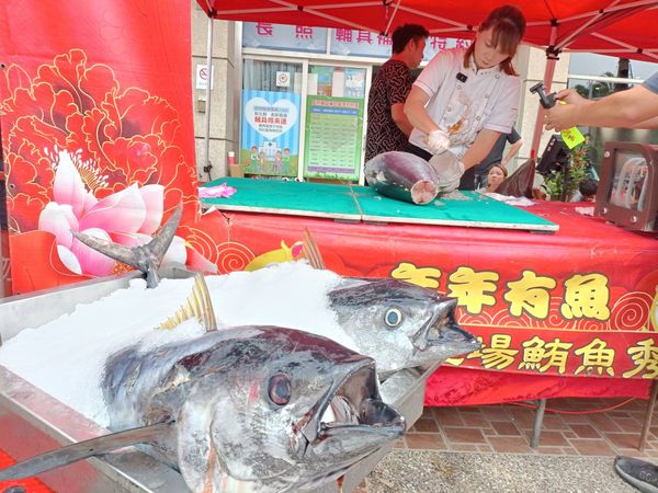 ▲恭迎大甲媽設鮪魚點心站。（圖／記者唐詠絮攝）