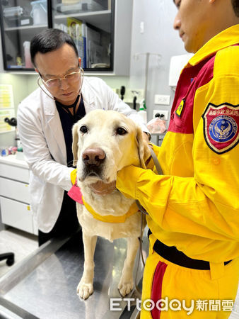 ▲▼高雄4搜救犬任務結束去健檢　Roger「苦瓜臉」站診療台抽血。（圖／宏力24小時急診後送動物醫院授權提供）